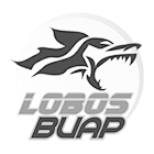 LOGO LOBOS BUAP